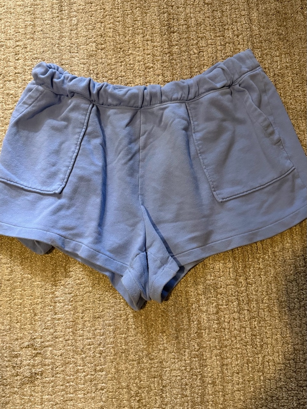 Aerie Light Blue Elastic Waist Athletic Shorts